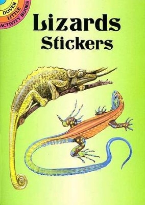 Book cover for Lizards Stickers