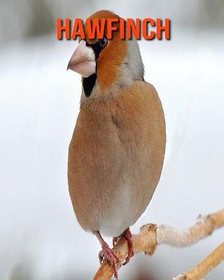 Book cover for Hawfinch