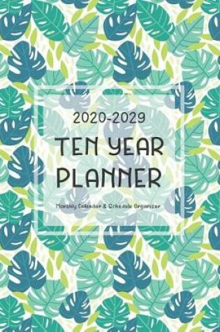 Cover of Ten Year Planner 2020-2029