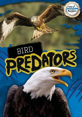 Cover of Bird Predators