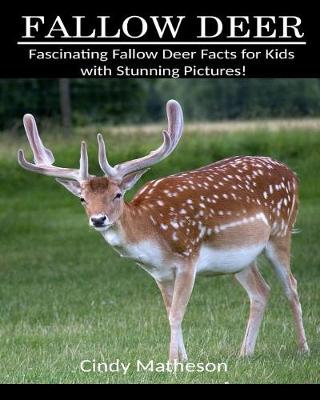 Book cover for Fallow Deer