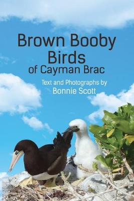 Book cover for Brown Booby Birds of Cayman Brac