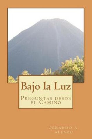 Cover of Bajo la Luz