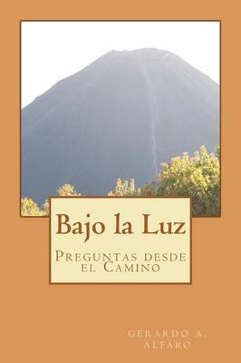 Book cover for Bajo la Luz