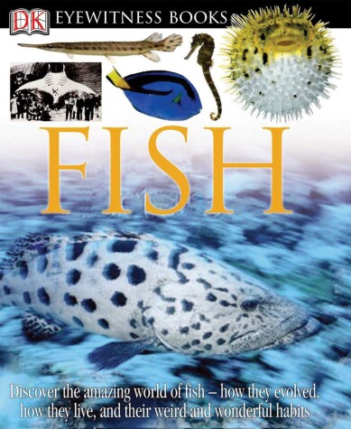 Book cover for DK Eyewitness Books: Fish