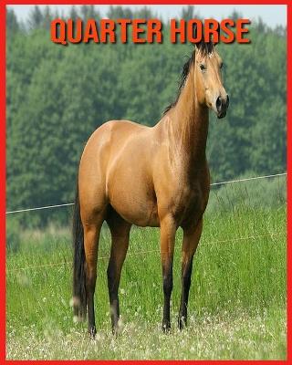 Book cover for Quarter Horse