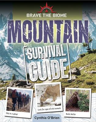 Book cover for Mountain Survival Guide