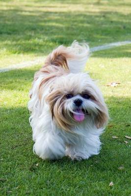 Book cover for Shih Tzu on the Grass, for the Love of Dogs