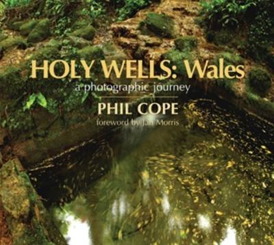 Book cover for Holy Wells: Wales