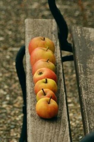 Cover of Apples Lined Up on a Bench Journal