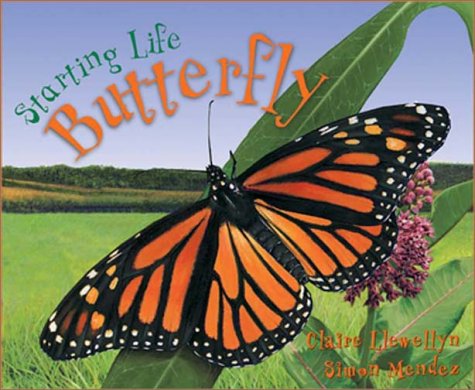 Book cover for Butterfly