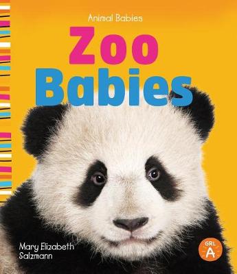 Book cover for Zoo Babies