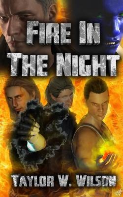 Book cover for Fire In The Night