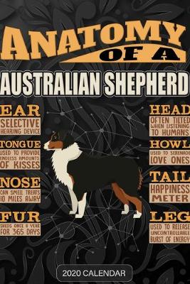 Book cover for Anatomy Of A Australian Shepherd