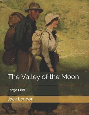 Book cover for The Valley of the Moon