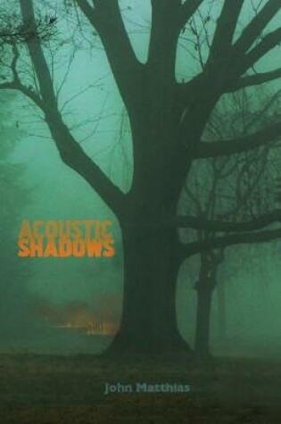 Cover of Acoustic Shadows