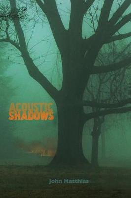 Book cover for Acoustic Shadows