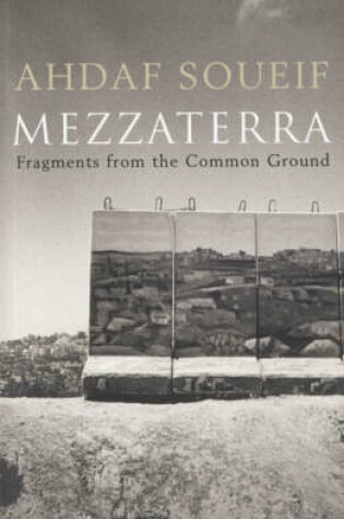 Cover of Mezzaterra