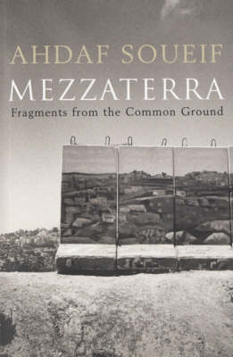 Book cover for Mezzaterra