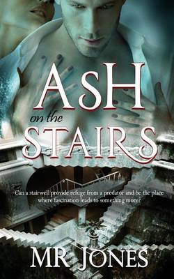 Book cover for Ash on the Stairs