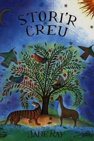 Cover of Stori'r Creu