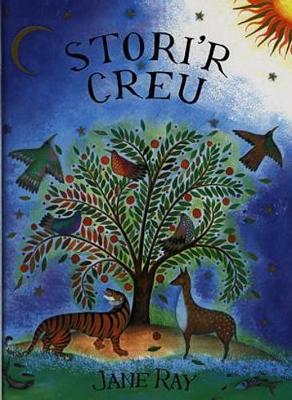 Book cover for Stori'r Creu