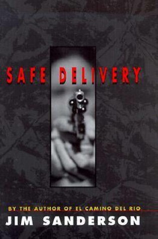 Cover of Safe Delivery