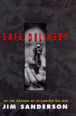 Book cover for Safe Delivery