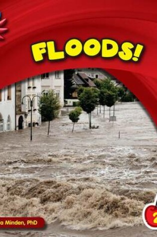 Cover of Floods!