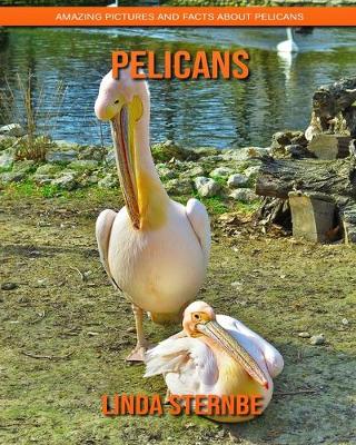 Book cover for Pelicans