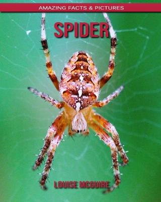 Book cover for Spider