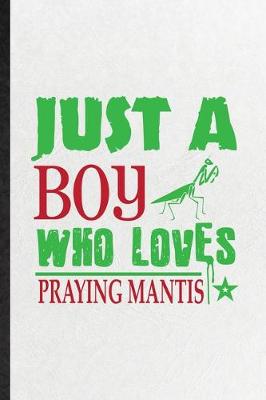 Book cover for Just a Boy Who Loves Praying Mantis