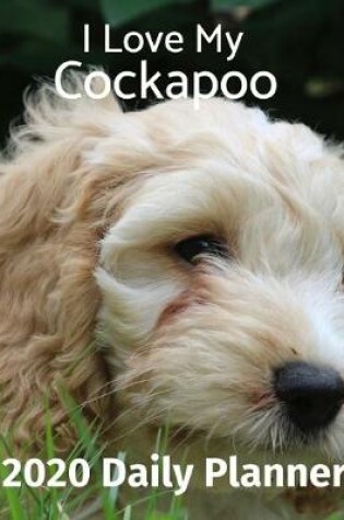 Cover of I Love My Cockapoo