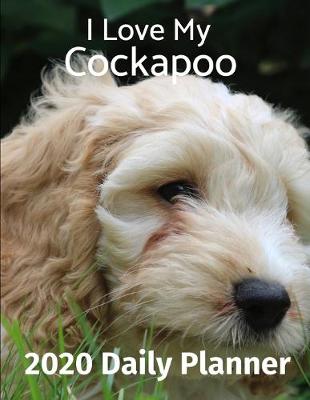 Cover of I Love My Cockapoo
