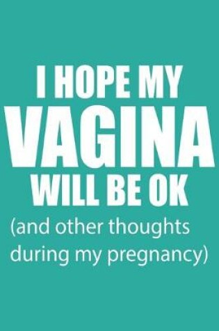 Cover of I Hope My Vagina Will Be Ok (And Other Thoughts During My Pregnancy)