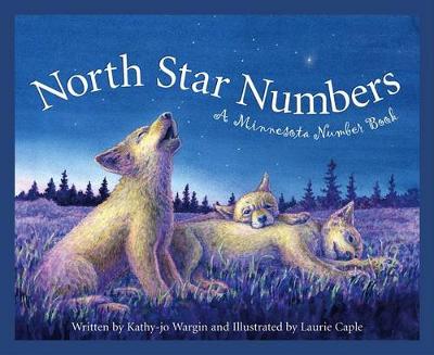 Book cover for North Star Numbers