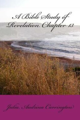 Cover of A Bible Study of Revelation Chapter 13