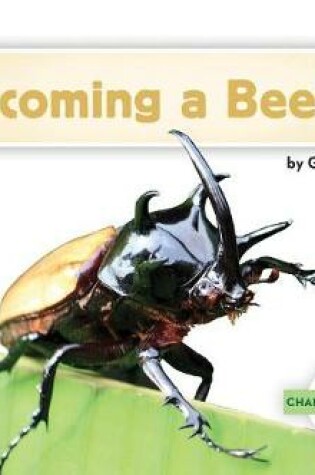 Cover of Becoming a Beetle