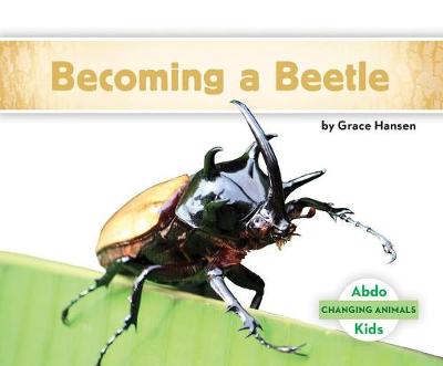 Cover of Becoming a Beetle