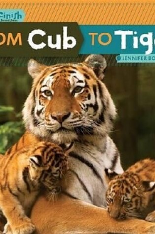 Cover of From Cub to Tiger