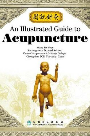 Cover of An Illustrated Guide to Acupuncture