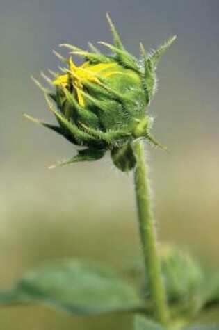 Cover of Hints of Sunflower Yellow - Lined Notebook with Margins