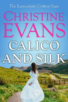 Book cover for Calico and Silk