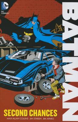 Book cover for Batman The New Adventures