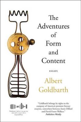 Book cover for The Adventures of Form and Content