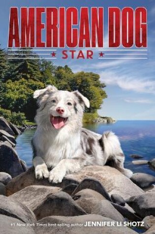 Cover of American Dog: Star