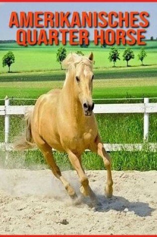 Cover of Amerikanisches Quarter Horse