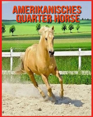 Book cover for Amerikanisches Quarter Horse