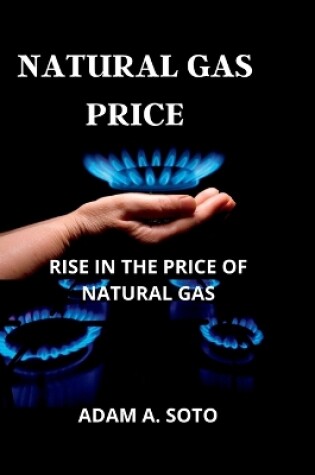 Cover of Natural Gas Price