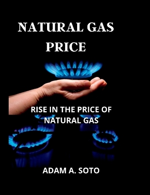 Cover of Natural Gas Price